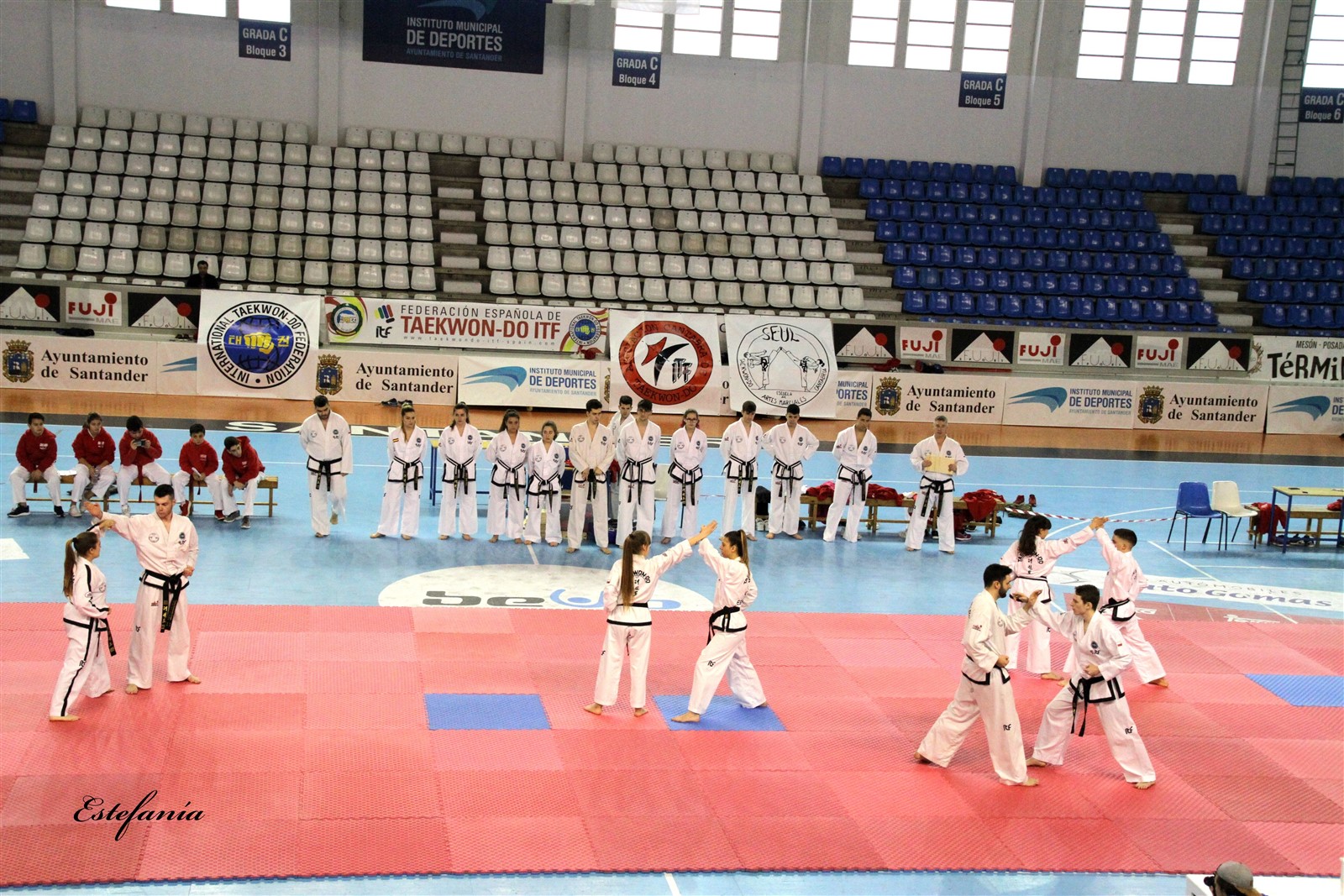 Taekwondo (210).jpg